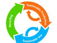 What exactly is a Circular Economy?